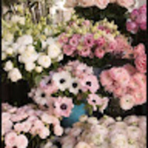 Meet your Posher, Criselva